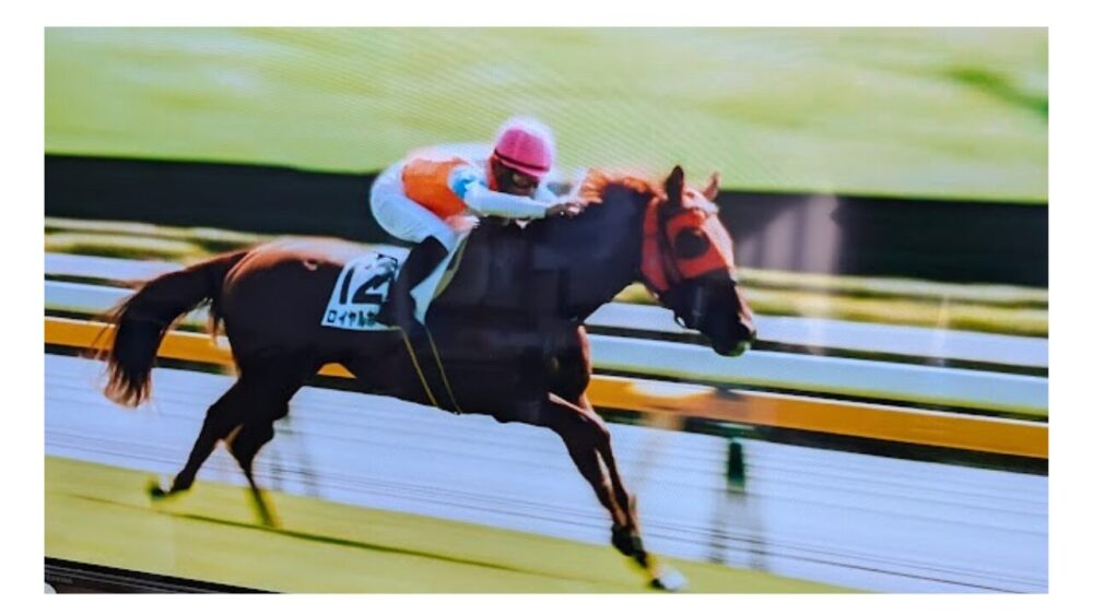 ロイヤルホープ